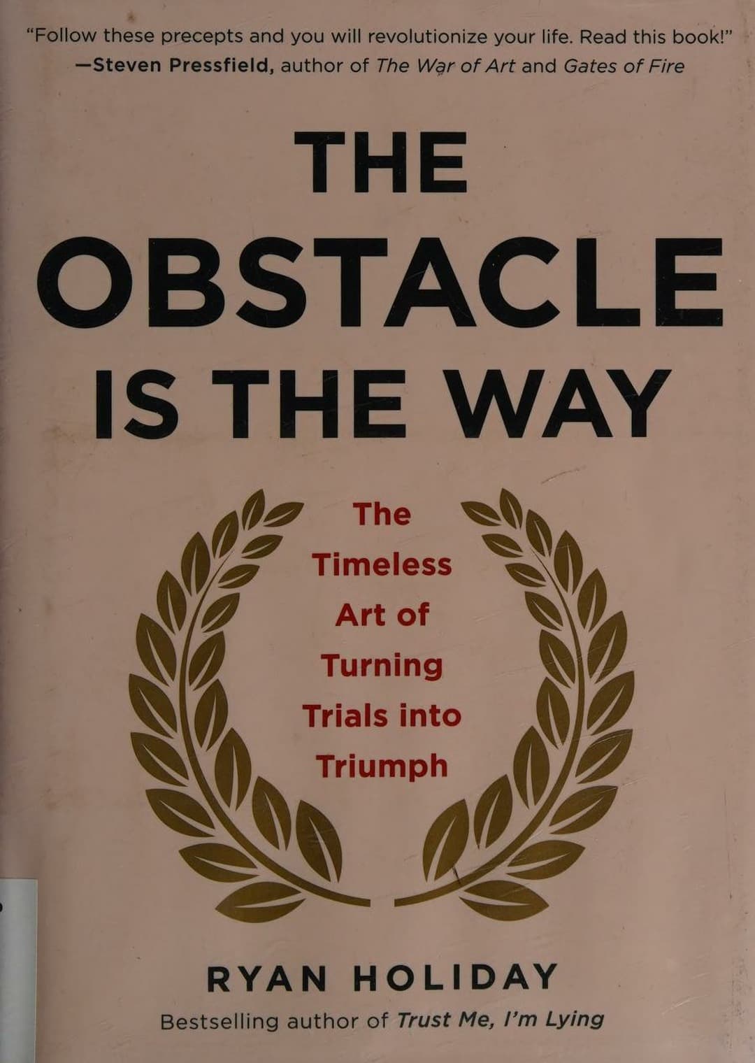 The Obstacle Is the Way